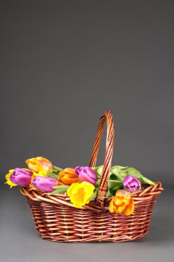 Lale üzerinde gri kahverengi sepeti