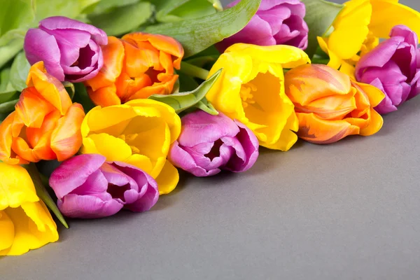 Bukiet kwiatów tulipanów na szary — Zdjęcie stockowe