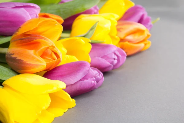 Bouquet of colorful tulip flowers on grey — Stock Photo, Image