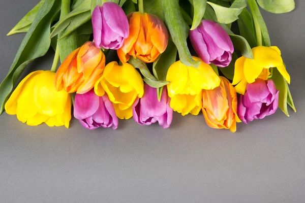 Blumenstrauß wunderschöne Tulpe auf grau — Stockfoto