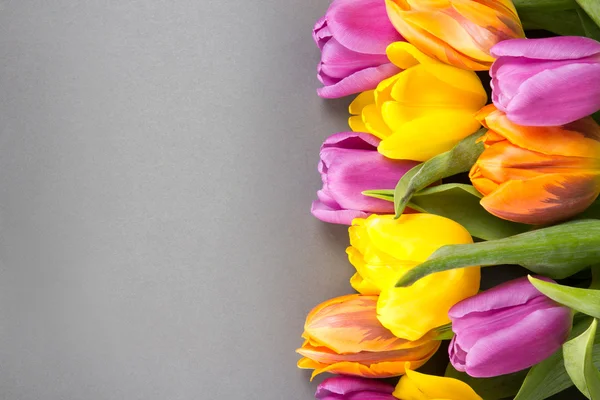 Kolorowy bukiet kwiatów tulipanów na szary — Zdjęcie stockowe