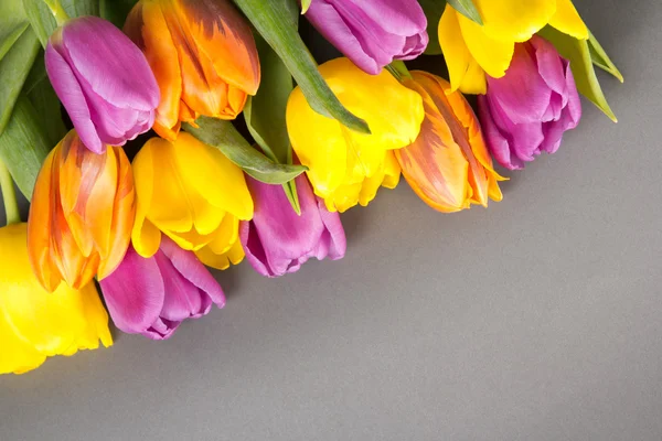 Schönen Blumenstrauß Tulpe auf grau — Stockfoto