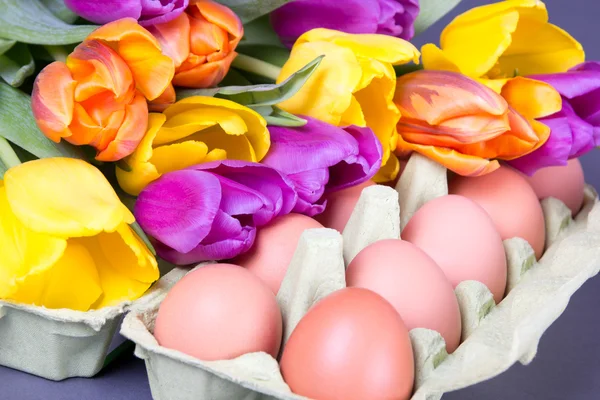 Fleurs de tulipe et œufs sur fond gris — Photo
