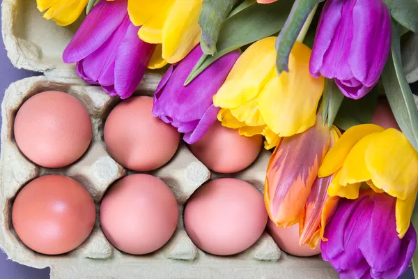 Colorful tulip flowers and eggs — Stock Photo, Image