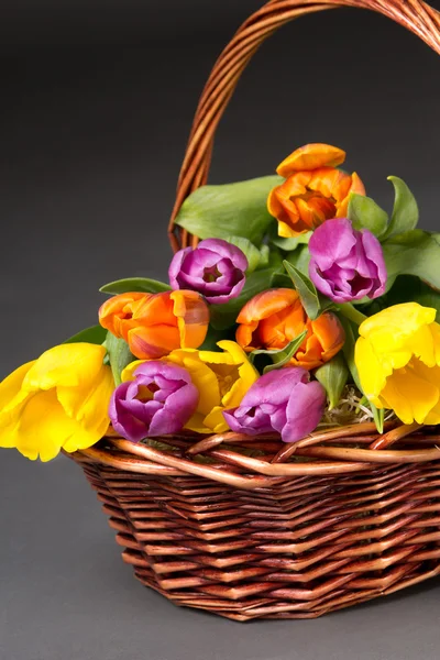 Brown basket with tulip flowers over grey — Stock Photo, Image