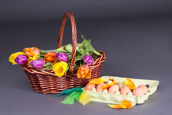 Brown basket with colorful tulips and eggs over grey — Stock Photo, Image