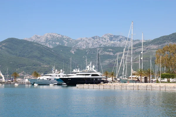 Luxurious yachts in port of Tivat — Stock Photo, Image