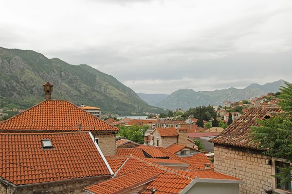 Červené střechy budov v Kotoru — Stock fotografie