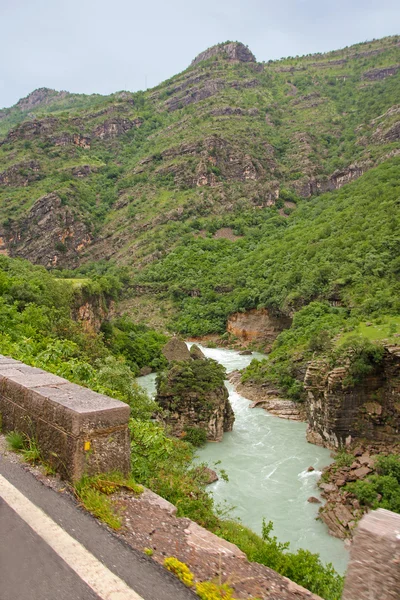 Kaňon tara řeka v Černé hoře — Stock fotografie