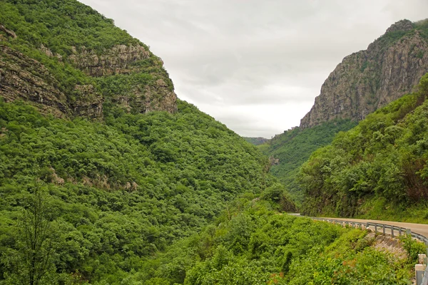 Canyon road w Czarnogórze — Zdjęcie stockowe