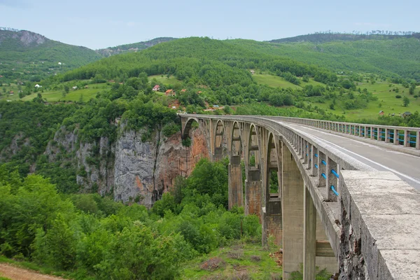 Most přes řeku tara v Černé hoře — Stock fotografie