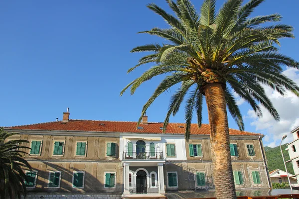 Зеленые пальмы и отель над голубое небо — стоковое фото