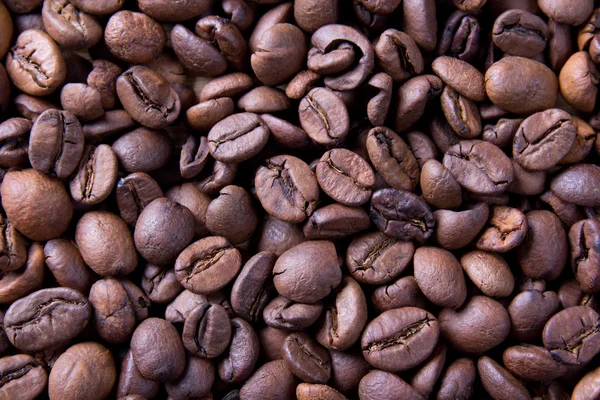 Brown roasted coffee beans, background texture — Stock Photo, Image