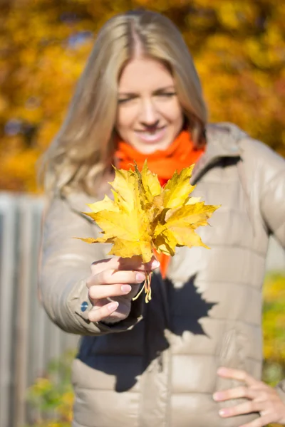 Jovem mulher com um ramalhete de maple folhas — Fotografia de Stock