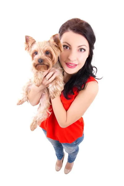 Lustige Porträt der jungen Frau hält kleine Hund Yorkshire Terri — Stockfoto