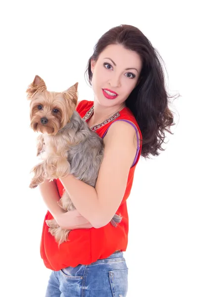 Beautiful woman with little dog yorkshire terrier isolated on wh — Stock Photo, Image