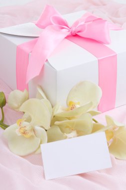 yakın hediye kutusu ile pembe kurdele, orkide ve boş kartı