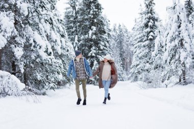 Mutlu, genç, aşık bir çift kış ormanında koşuyor ve eğleniyor.