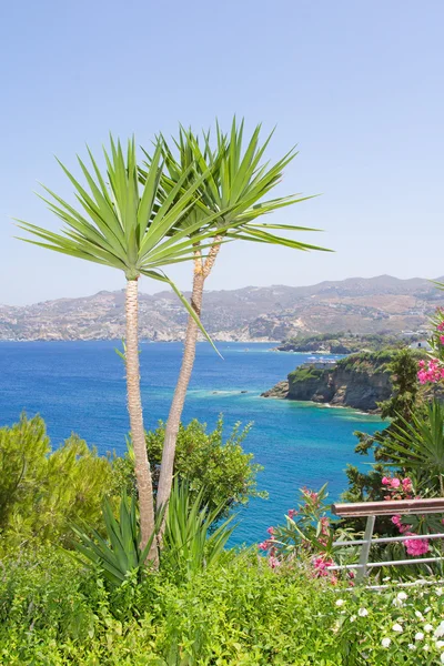 Palme e vista sul mare in Grecia — Foto Stock
