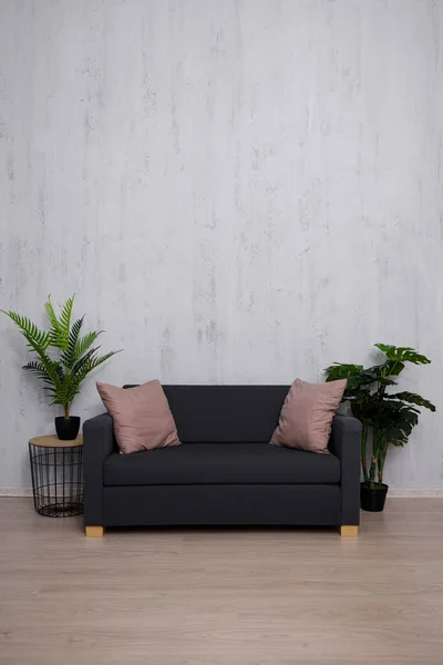 Sofa Und Pflanzen Mit Kopierraum Über Betonwandhintergrund — Stockfoto