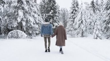 Tatlı bir çiftin kış ormanlarında yürüyüşünün arka görüntüsü.