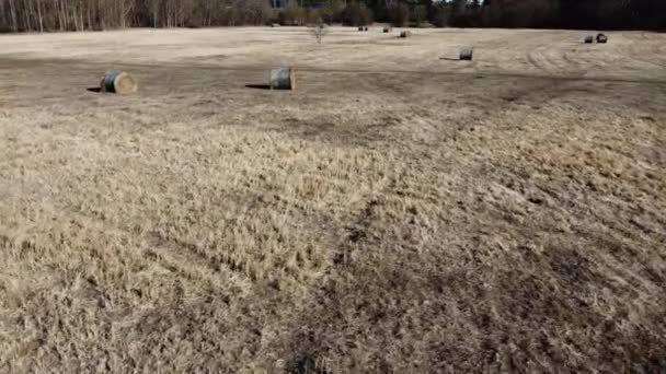 Aerial Drone Footage Hay Bales Spring Meadow — Stockvideo