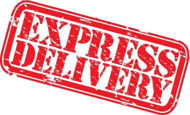 Grunge ekspres teslimat pencere boyutu, vektör çizim