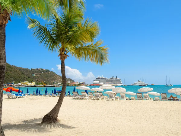 Strand met een palmboom — Stockfoto