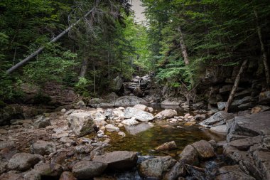 Trail to Lonesome Lake, White Mountains, New Hampshire