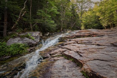 Trail to Lonesome Lake, White Mountains, New Hampshire