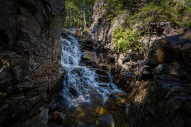 Trail to Lonesome Lake, White Mountains, New Hampshire