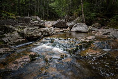 Trail to Lonesome Lake, White Mountains, New Hampshire