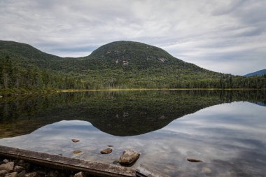 Trail to Lonesome Lake, White Mountains, New Hampshire