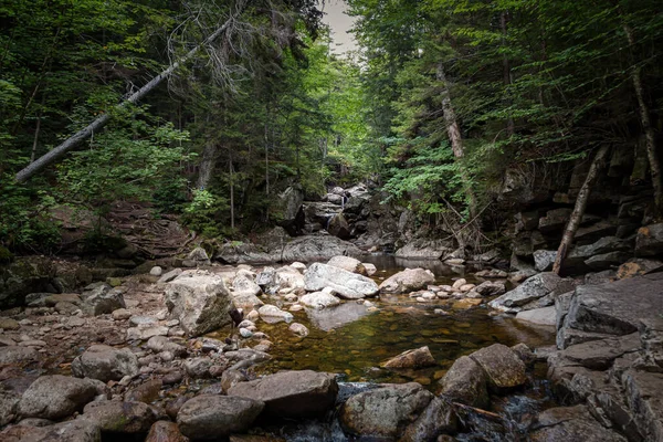 Cesta Osamělému Jezeru Bílé Hory New Hampshire — Stock fotografie