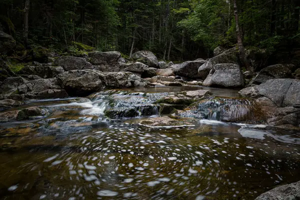 Trail Lonesome Lake White Mountains New Hampshire — Stock fotografie