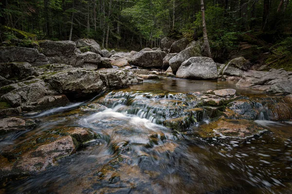 Trail Lonesome Lake White Mountains New Hampshire — Stock Photo, Image