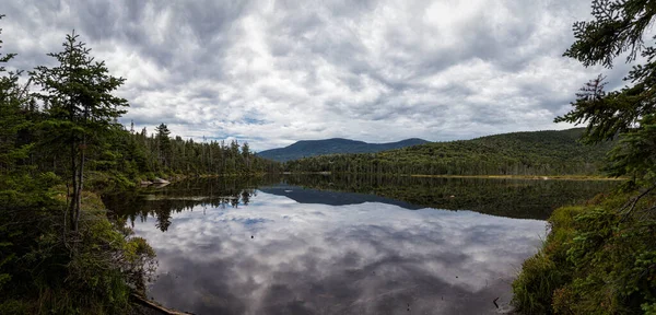 Trail Till Lonesome Lake Vita Bergen New Hampshire — Stockfoto