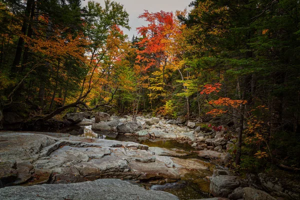 Fall Season New Hampshire — Stock Photo, Image