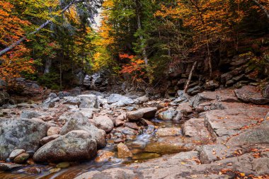Fall Season in New Hampshire