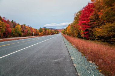 Sonbahar sezonu New Hampshire 'da