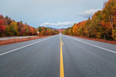 Sonbahar sezonu New Hampshire 'da