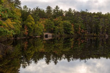 Fall Season in New Hampshire