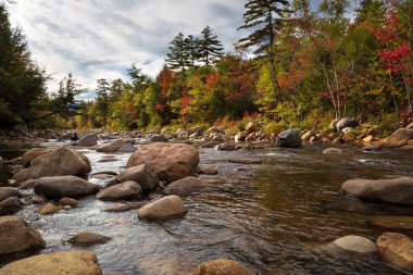 Fall Season in New Hampshire