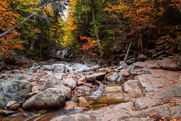 Fall Season New Hampshire —  Fotos de Stock