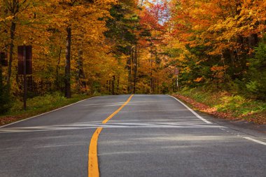 Sonbahar sezonu Batı Massachusetts 'te