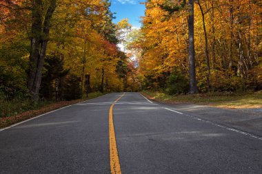Fall Season In Western Massachusetts