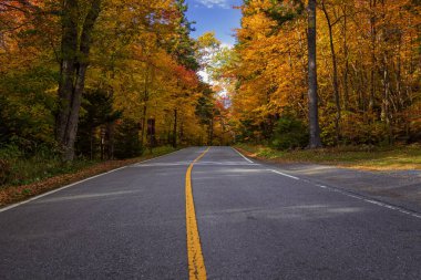 Fall Season In Western Massachusetts