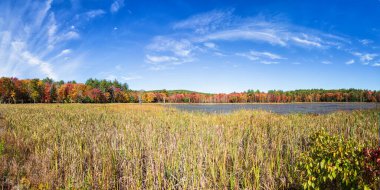 Fall Season In Western Massachusetts