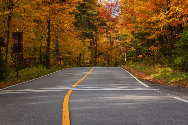 Fall Season Western Massachusetts — Stockfoto