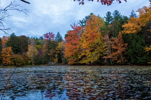 Podzimní Sezóna Západním Massachusetts — Stock fotografie